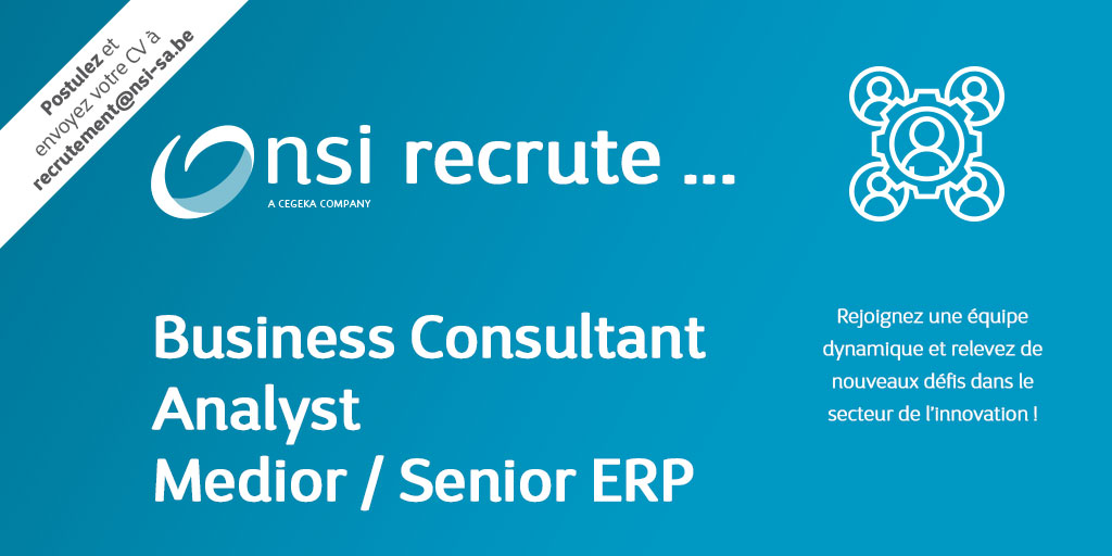 NSI recrute : Business Consultant/Analyst - Medior/Senior ERP