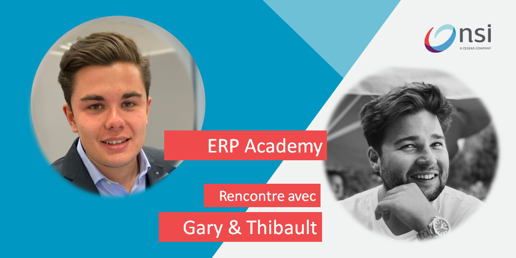 Gary and Thibault - ERP Business Consultants