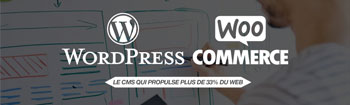 Un centre d’expertises spécialisé Wordpress/Woocommerce chez NSI !